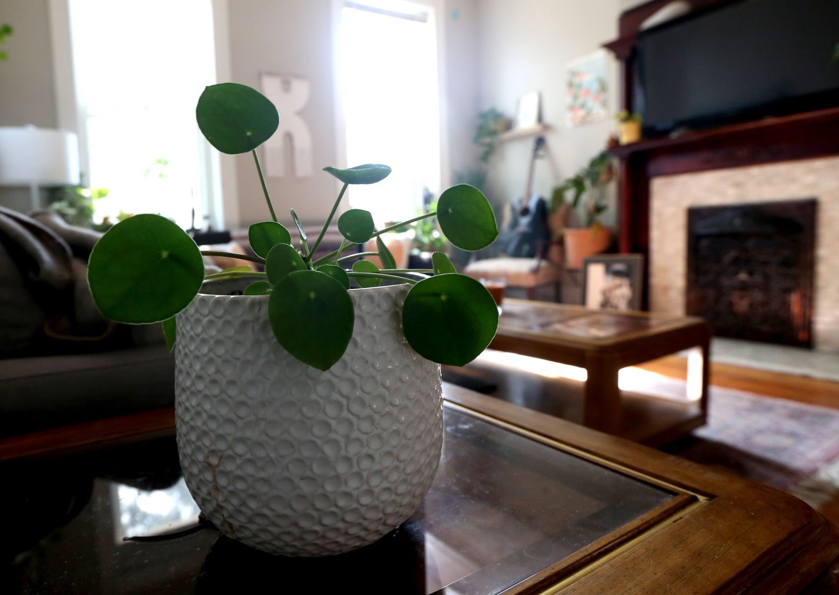 At home with musical artist Tonina Saputo